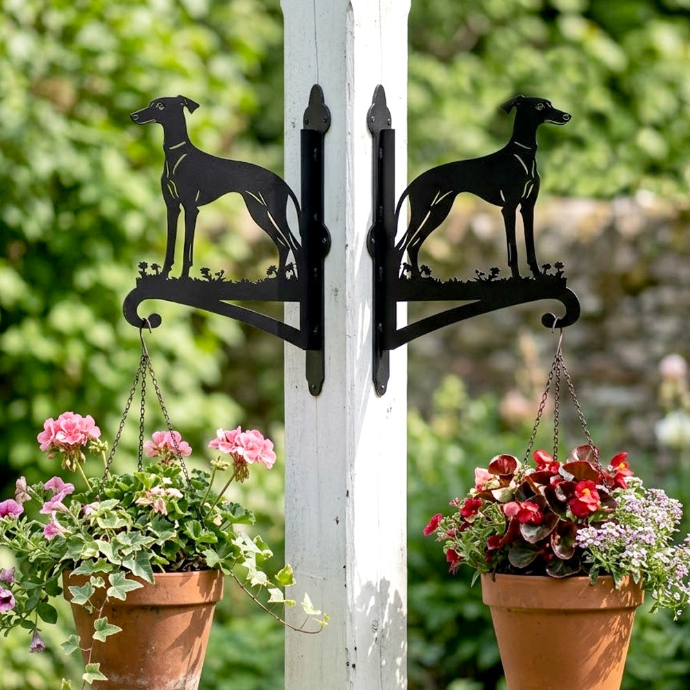 Greyhound metal hanging basket bracket mounted on outdoor wall for plant decoration