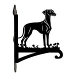 Greyhound metal hanging basket bracket mounted on outdoor wall for plant decoration