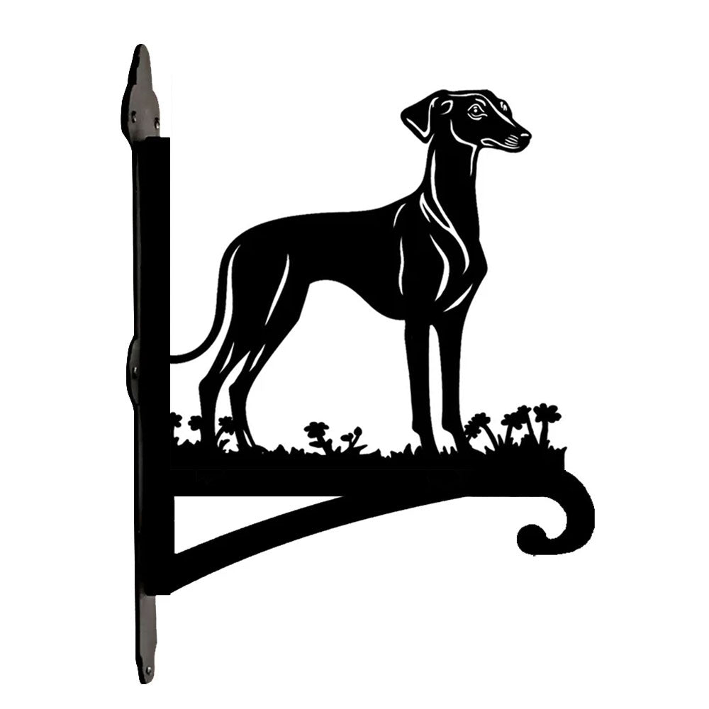 Greyhound metal hanging basket bracket mounted on outdoor wall for plant decoration