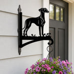 Greyhound metal hanging basket bracket mounted on outdoor wall for plant decoration