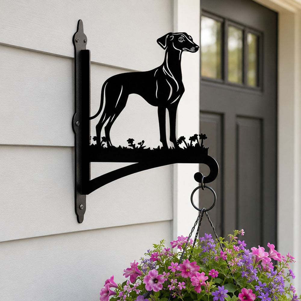 Greyhound metal hanging basket bracket mounted on outdoor wall for plant decoration