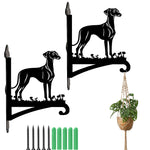 Greyhound metal hanging basket bracket mounted on outdoor wall for plant decoration