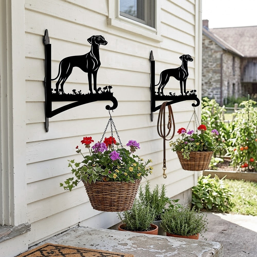 Greyhound metal hanging basket bracket mounted on outdoor wall for plant decoration