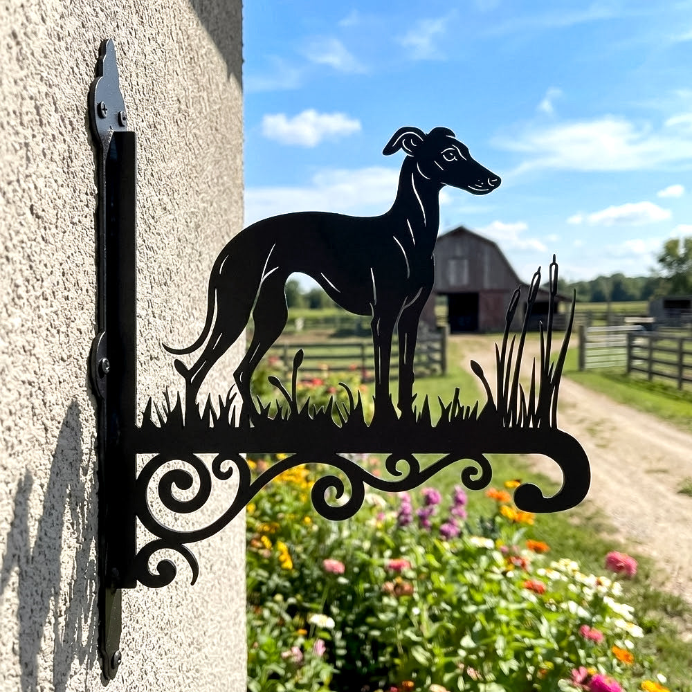 Greyhound metal hanging basket bracket mounted on outdoor wall for plant decoration