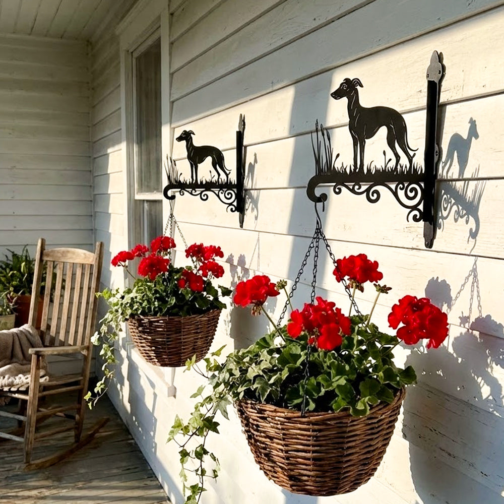 Greyhound metal hanging basket bracket mounted on outdoor wall for plant decoration