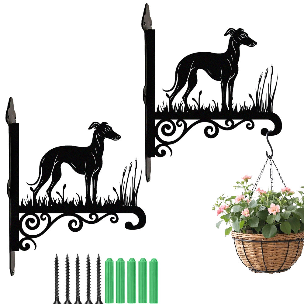 Greyhound metal hanging basket bracket mounted on outdoor wall for plant decoration