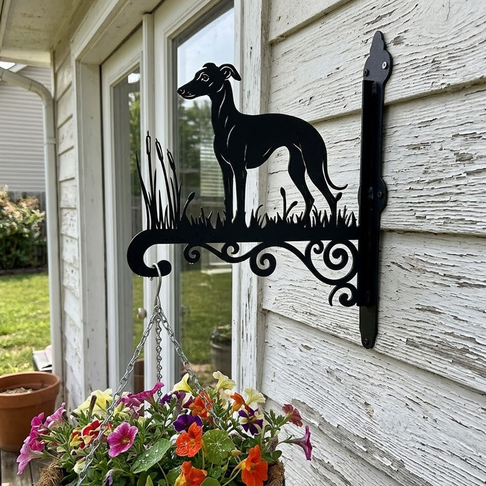 Greyhound metal hanging basket bracket mounted on outdoor wall for plant decoration