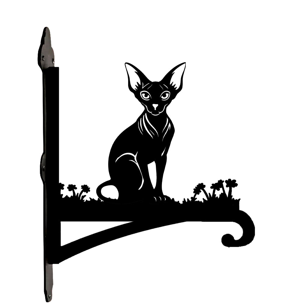 Hairless sphynx cat metal hanging basket bracket mounted on outdoor wall for plant decoration
