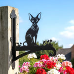 Hairless sphynx cat metal hanging basket bracket mounted on outdoor wall for plant decoration