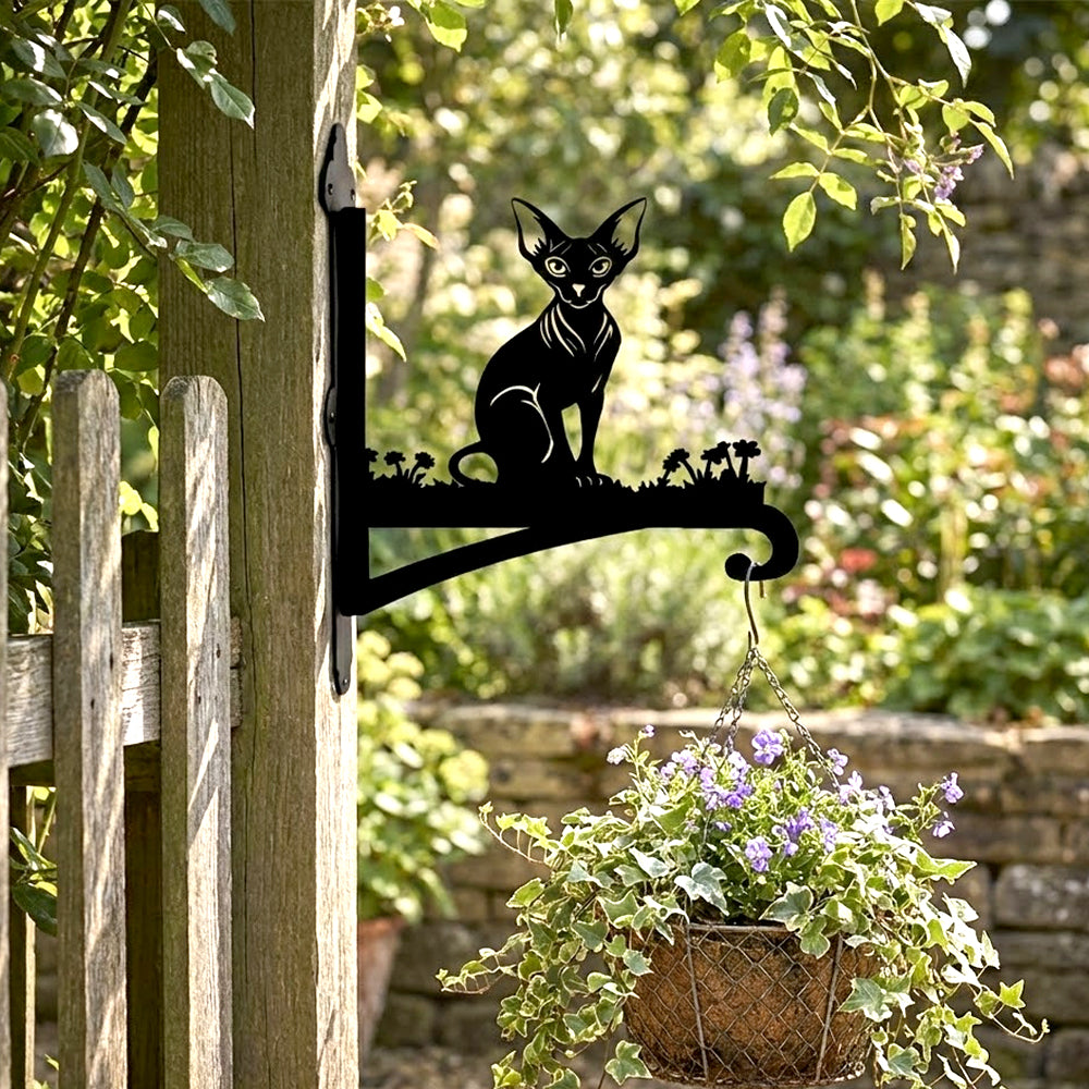 Hairless sphynx cat metal hanging basket bracket mounted on outdoor wall for plant decoration