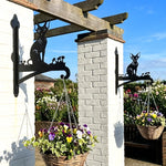 Hairless sphynx cat metal hanging basket bracket mounted on outdoor wall for plant decoration