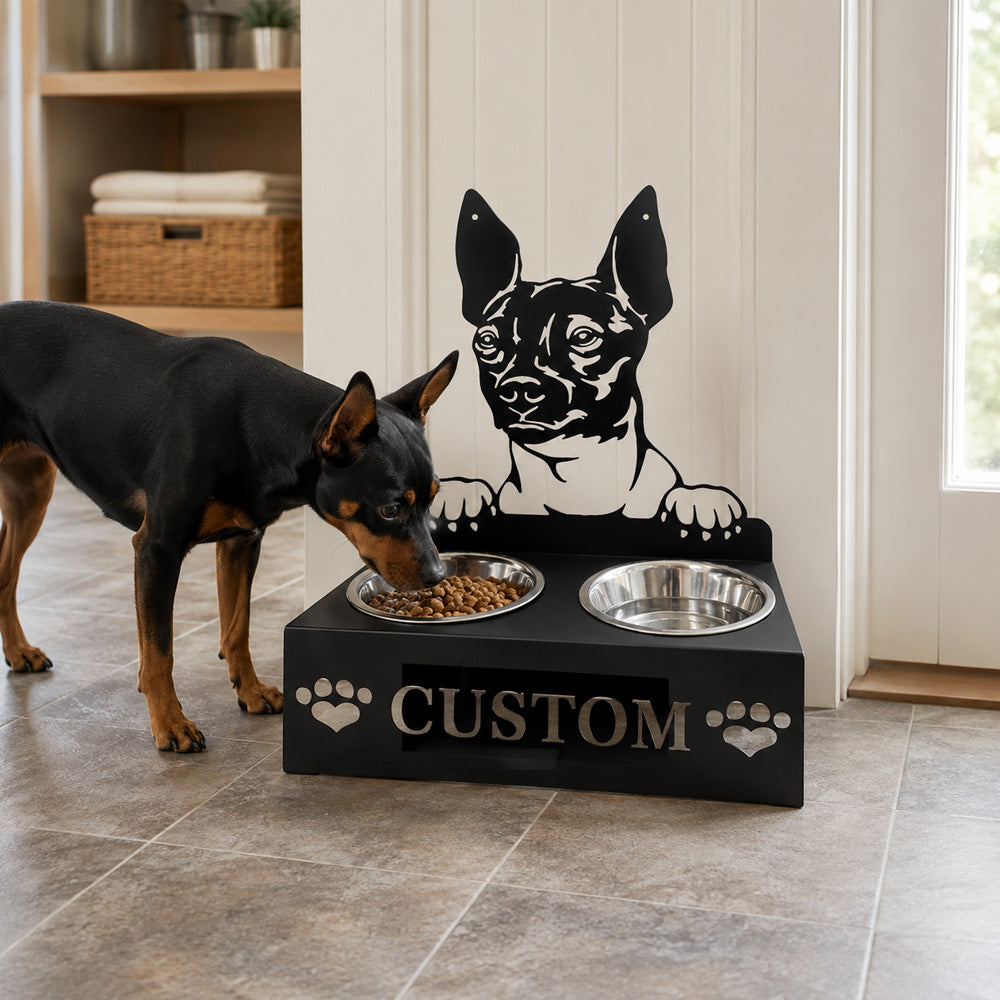 Personalized hairless terrier metal dog bowl stand with custom name cutout and two removable feeding bowls