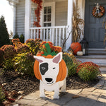 Halloween Bull Terrier dog Planter filled with fresh flowers is placed in the garden