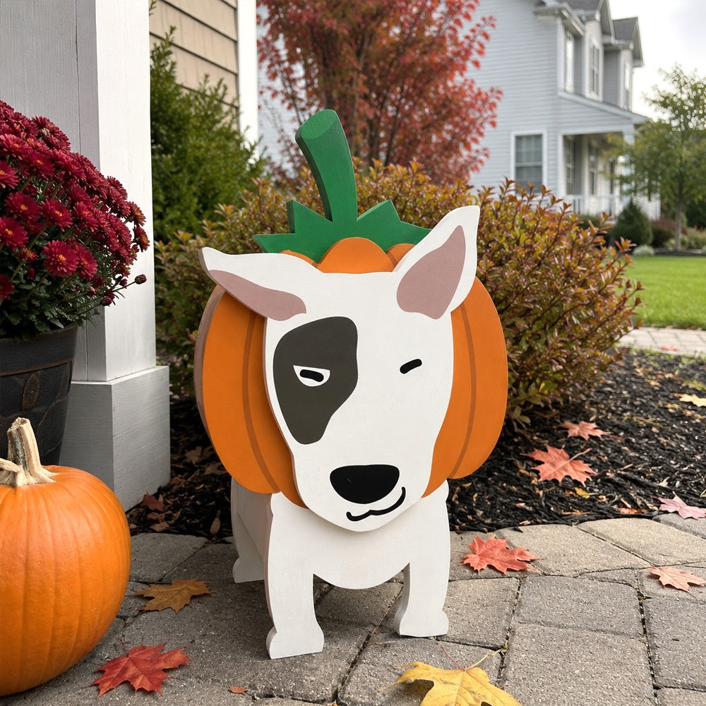 Halloween Bull Terrier dog Planter filled with fresh flowers is placed in the garden