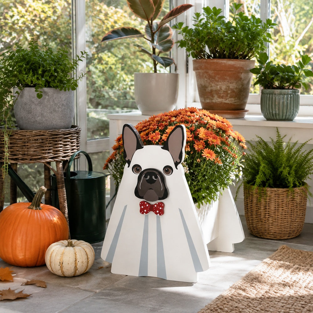 Halloween French Bulldog Planter filled with fresh flowers is placed in the garden