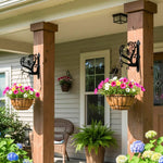 Bee metal hanging basket bracket mounted on outdoor wall for plant decoration