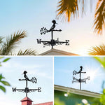 Hoopoe bird metal weather vane with directional arrows and mounting rod, outdoor roof and garden decoration