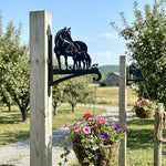 Horse family metal hanging basket bracket mounted on outdoor wall for plant decoration