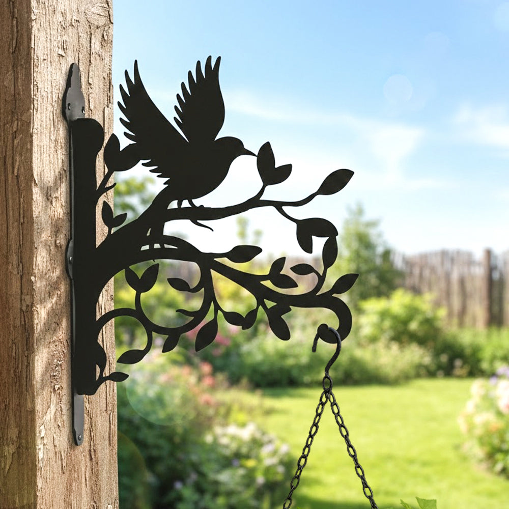 Hummingbird flying on branch metal hanging basket bracket mounted on outdoor wall for plant decoration