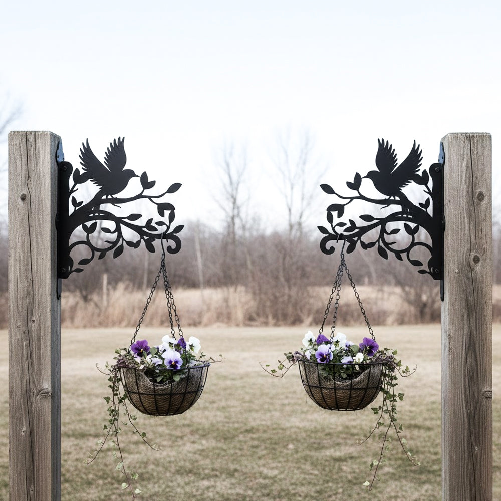 Hummingbird flying on branch metal hanging basket bracket mounted on outdoor wall for plant decoration
