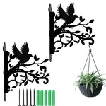 Hummingbird flying on branch metal hanging basket bracket mounted on outdoor wall for plant decoration