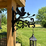 Hummingbird flying on branch metal hanging basket bracket mounted on outdoor wall for plant decoration