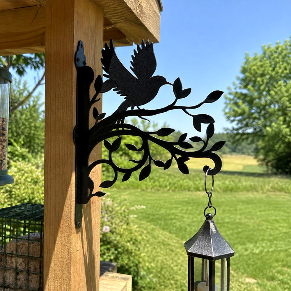 Hummingbird flying on branch metal hanging basket bracket mounted on outdoor wall for plant decoration