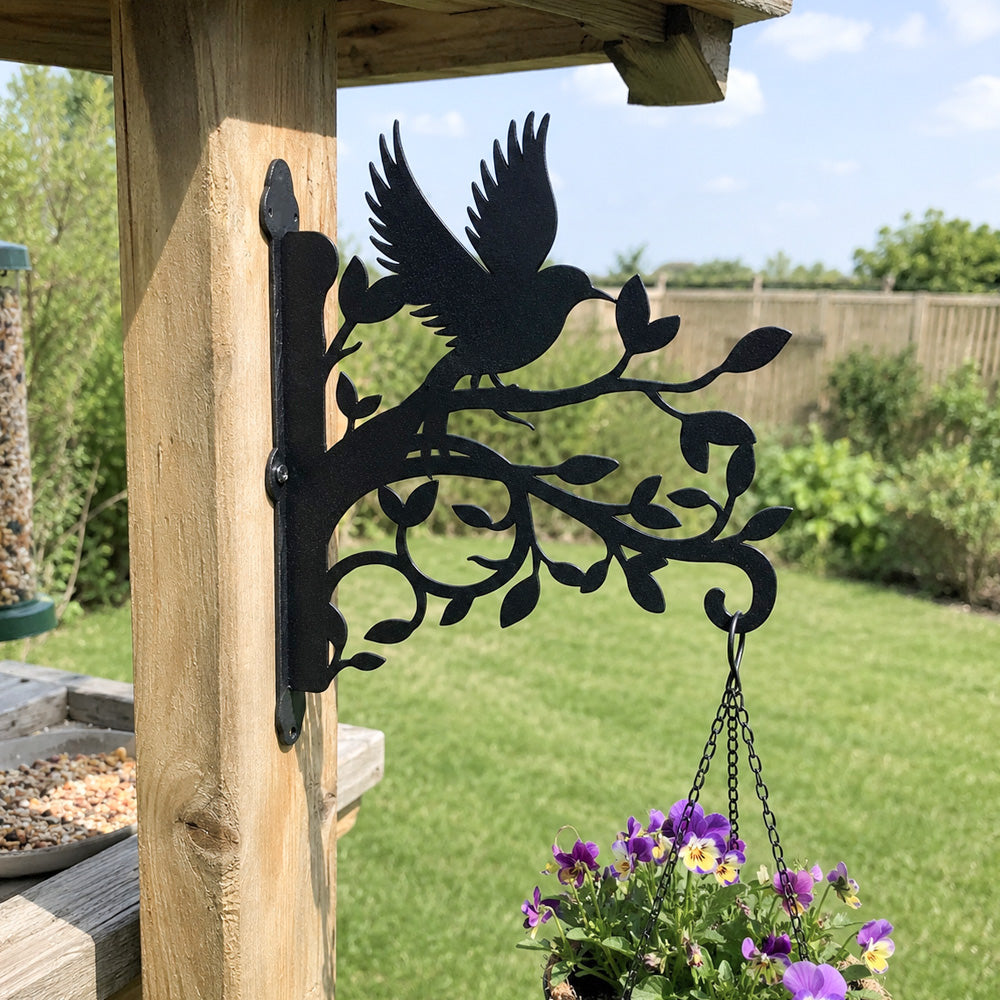 Hummingbird flying on branch metal hanging basket bracket mounted on outdoor wall for plant decoration