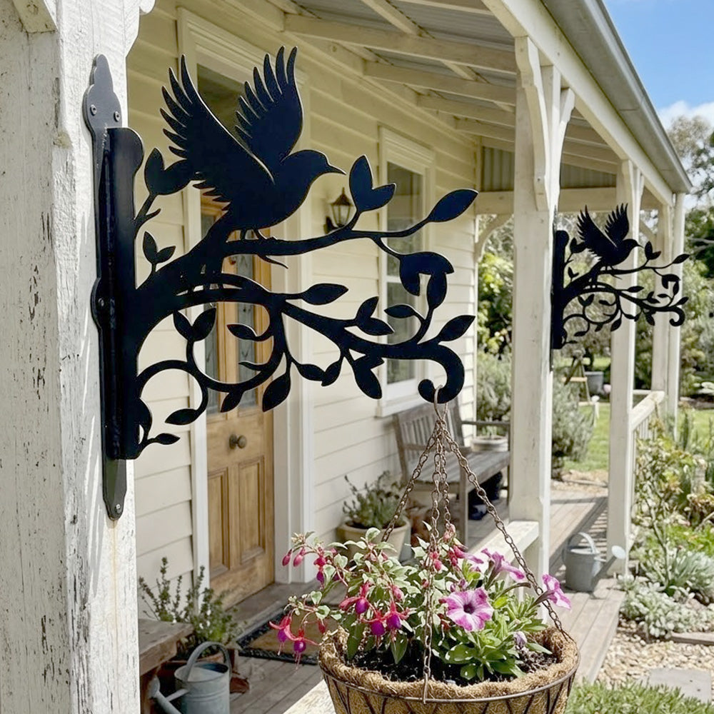 Hummingbird flying on branch metal hanging basket bracket mounted on outdoor wall for plant decoration