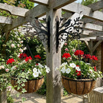 Hummingbird stand on branch metal hanging basket bracket mounted on outdoor wall for plant decoration