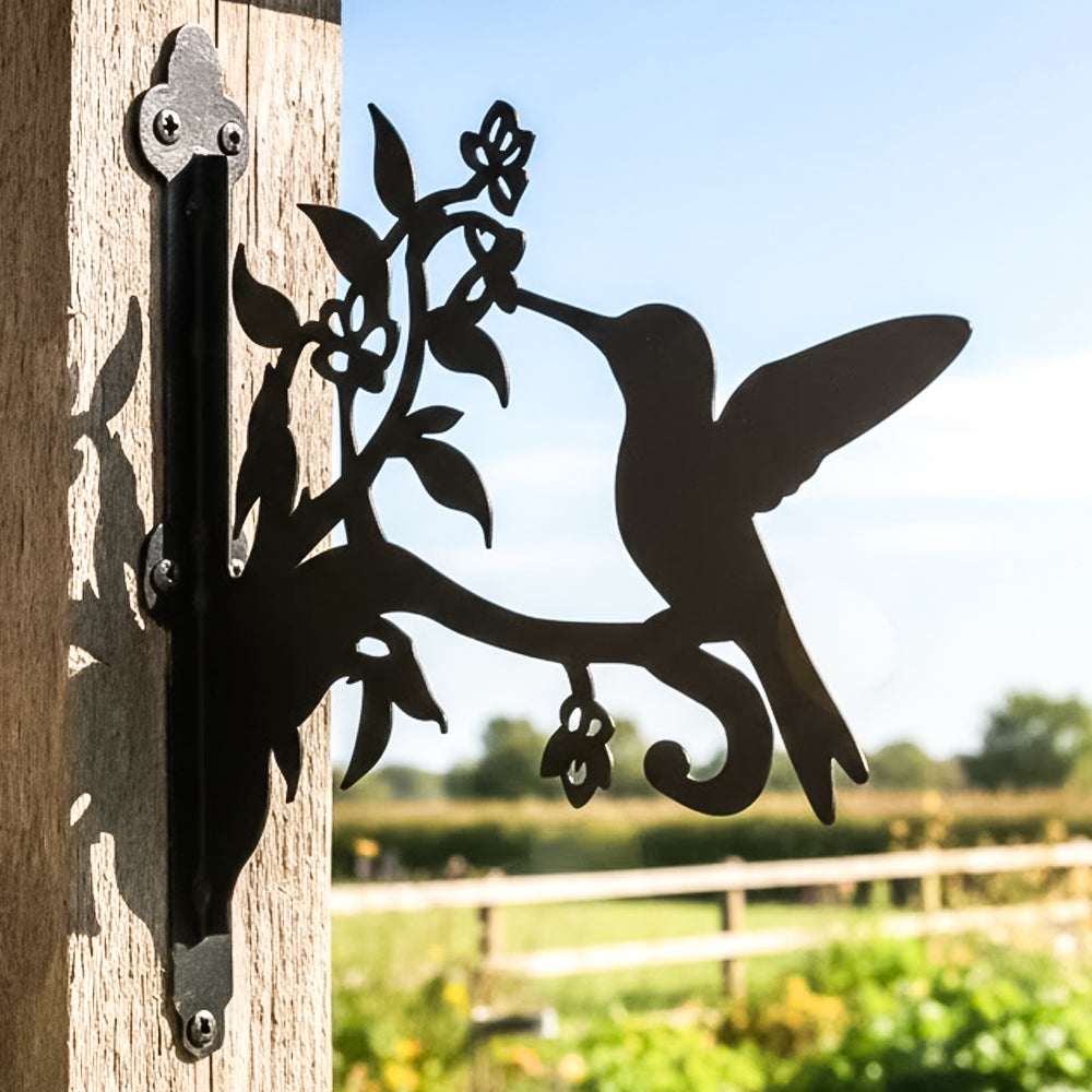 Hummingbird with honeysuckle metal hanging basket bracket mounted on outdoor wall for plant decoration