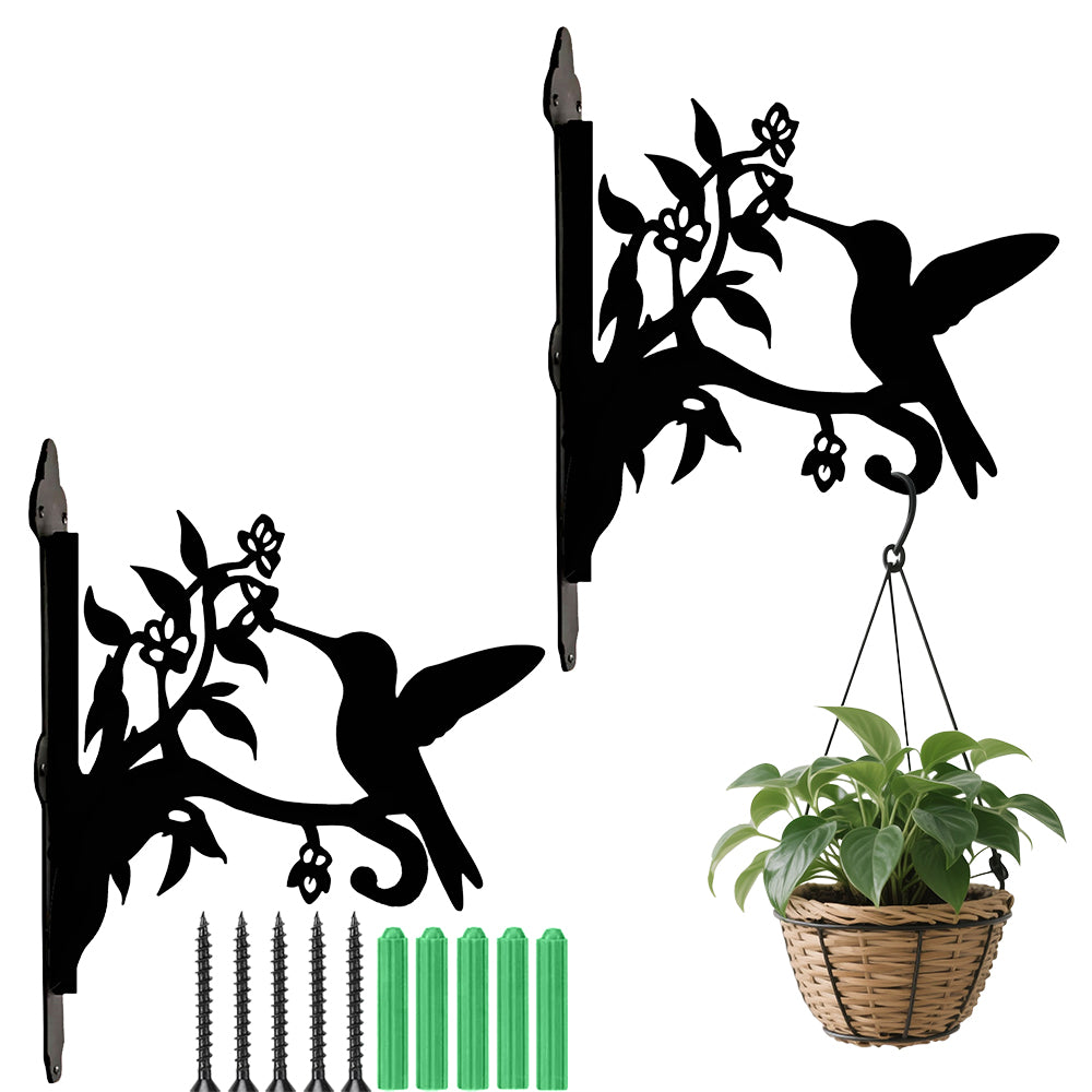Hummingbird with honeysuckle metal hanging basket bracket mounted on outdoor wall for plant decoration