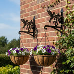 Hummingbird with morning glory metal hanging basket bracket mounted on outdoor wall for plant decoration