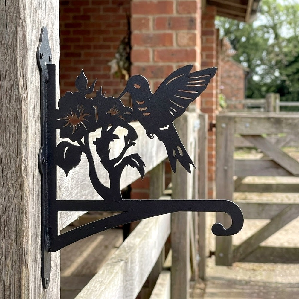 Hummingbird with morning glory metal hanging basket bracket mounted on outdoor wall for plant decoration