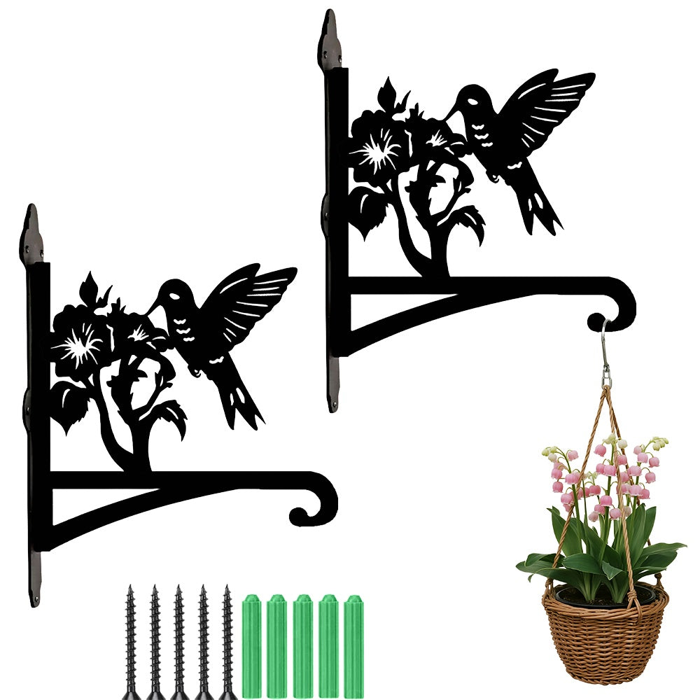 Hummingbird with morning glory metal hanging basket bracket mounted on outdoor wall for plant decoration