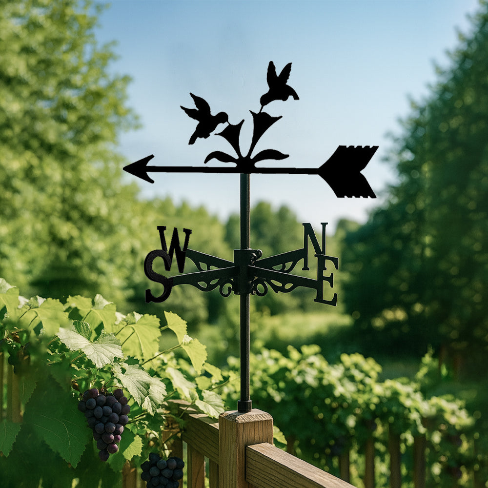 Hummingbirds feeding metal weather vane with directional arrows and mounting rod, outdoor roof and garden decoration