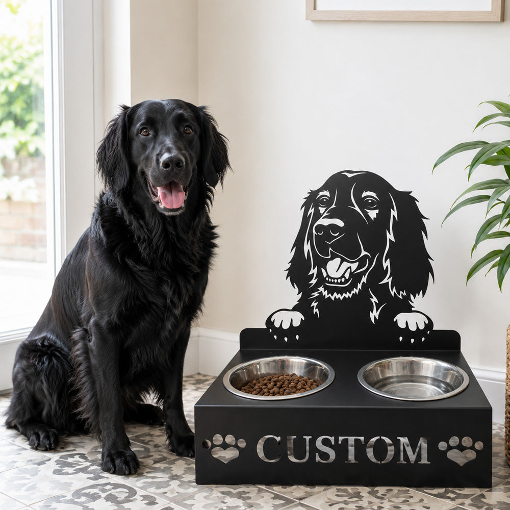 Personalized irish setter metal dog bowl stand with custom name cutout and two removable feeding bowls