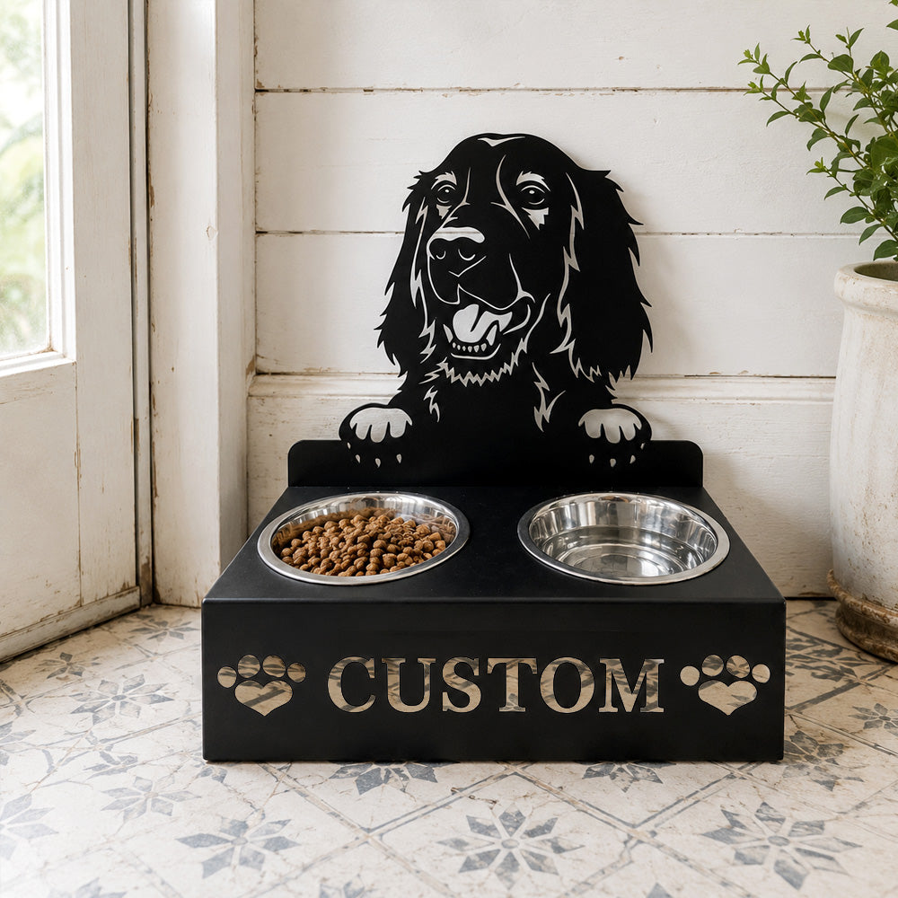Personalized irish setter metal dog bowl stand with custom name cutout and two removable feeding bowls