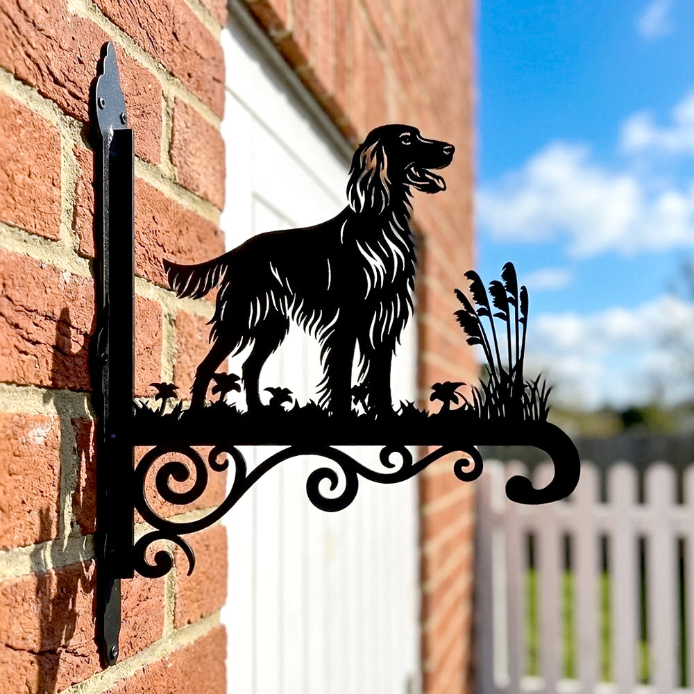 Irish setter metal hanging basket bracket mounted on outdoor wall for plant decoration