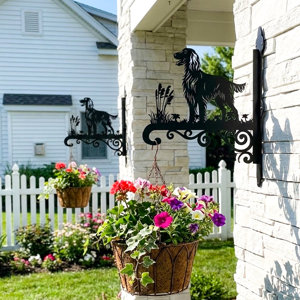 Irish setter metal hanging basket bracket mounted on outdoor wall for plant decoration