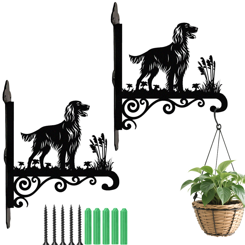 Irish setter metal hanging basket bracket mounted on outdoor wall for plant decoration