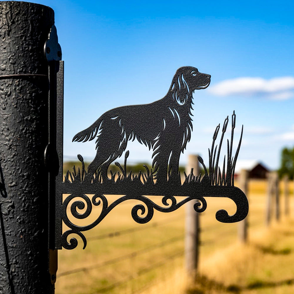 Irish setter metal hanging basket bracket mounted on outdoor wall for plant decoration