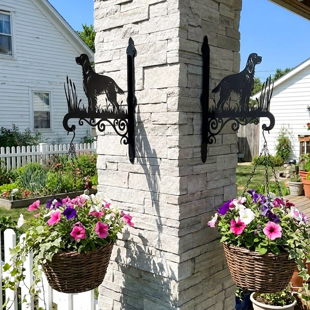 Irish setter metal hanging basket bracket mounted on outdoor wall for plant decoration