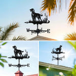 Irish Setter metal weather vane with directional arrows and mounting rod, outdoor roof and garden decoration