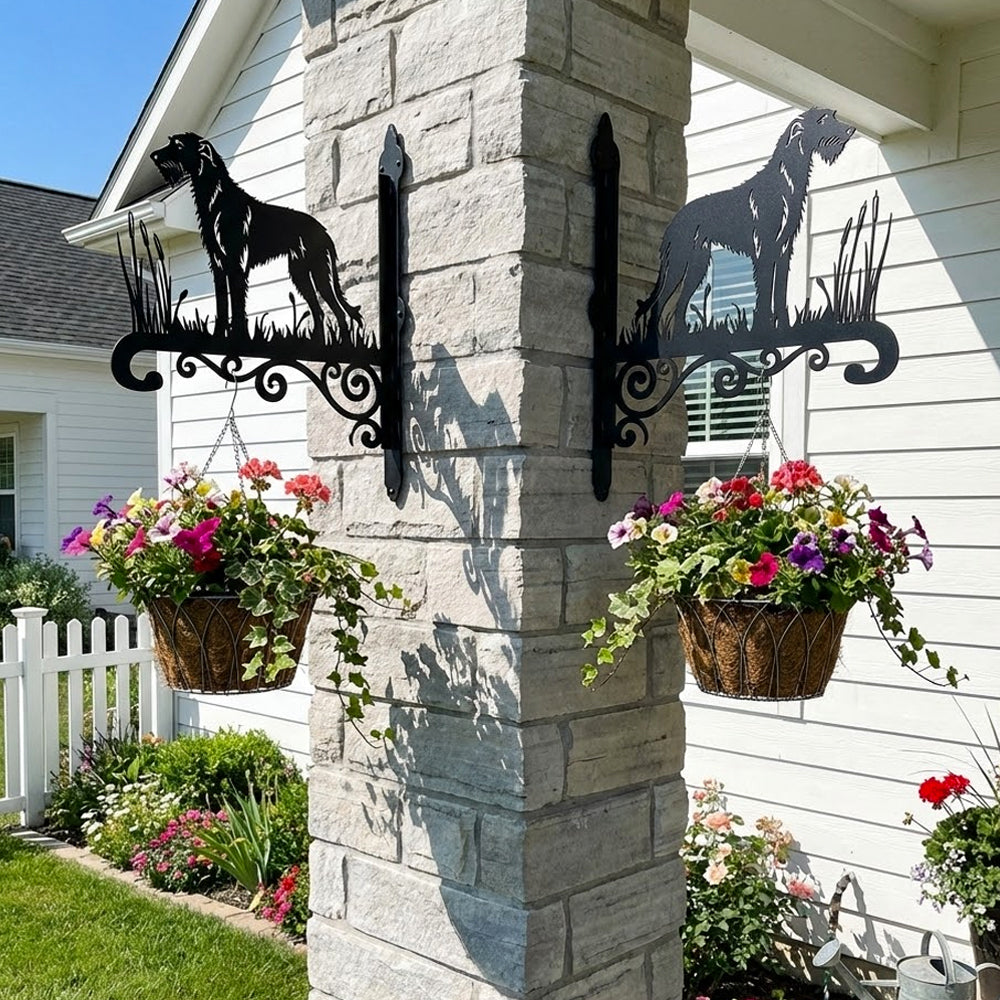 Irish wolfhound metal hanging basket bracket mounted on outdoor wall for plant decoration