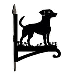 Jack russell terrier metal hanging basket bracket mounted on outdoor wall for plant decoration