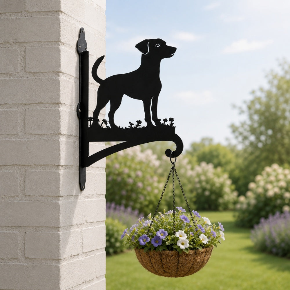 Jack russell terrier metal hanging basket bracket mounted on outdoor wall for plant decoration