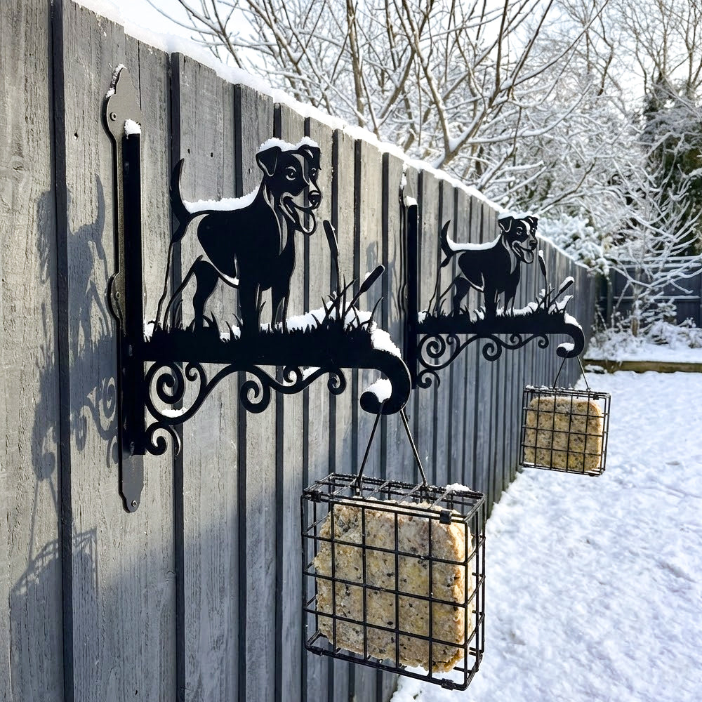 Jack russell terrier metal hanging basket bracket mounted on outdoor wall for plant decoration