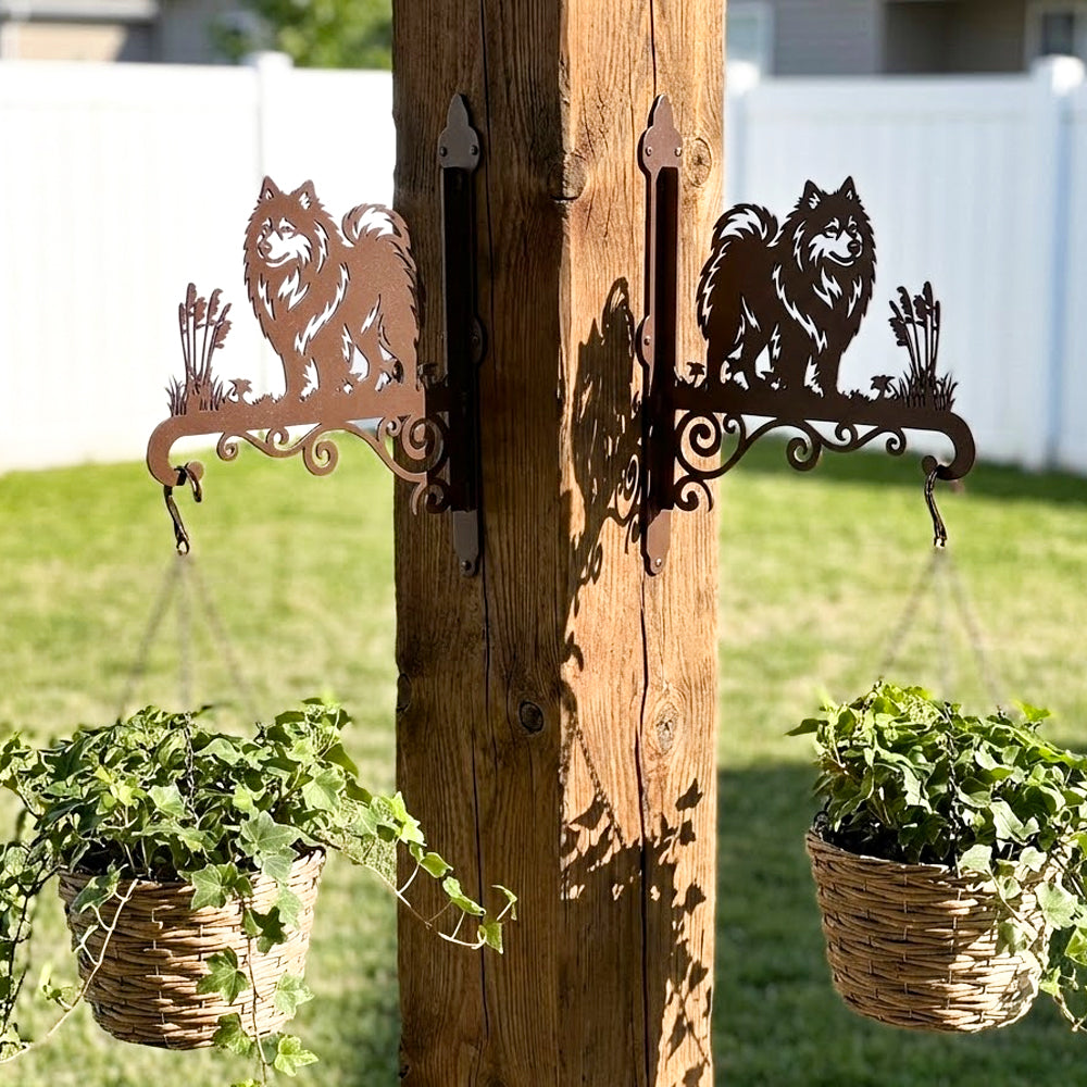 Keeshond metal hanging basket bracket mounted on outdoor wall for plant decoration