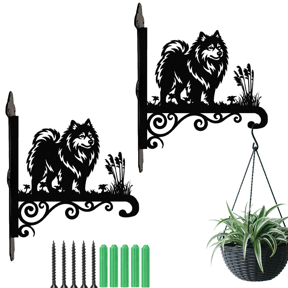 Keeshond metal hanging basket bracket mounted on outdoor wall for plant decoration